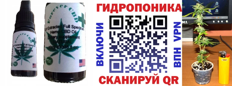 закладка  Кингисепп  Еда ТГК марихуана 