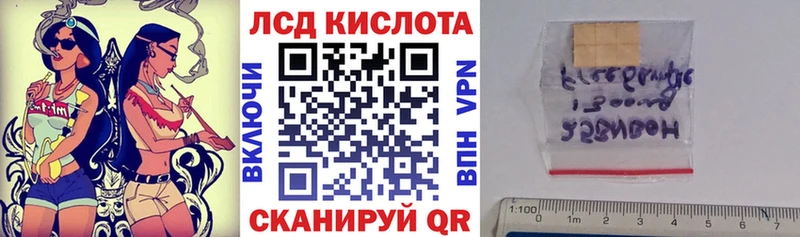 хочу наркоту  мега как зайти  Марки N-bome 1500мкг  Кингисепп 