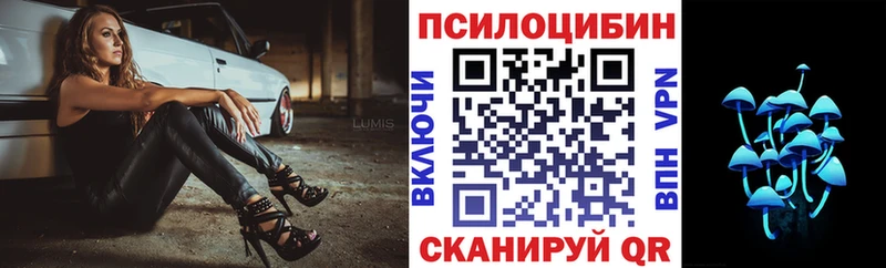 mega зеркало  Кингисепп  Галлюциногенные грибы ЛСД 